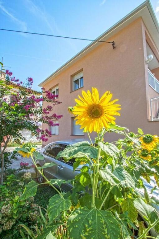 Apartman Studio Nena Crikvenica Buitenkant foto